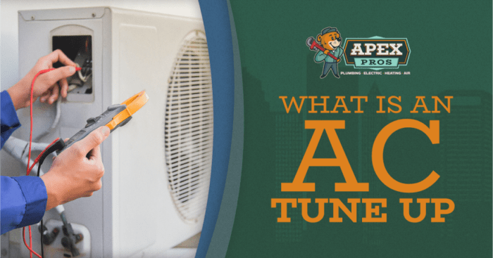 What is an AC Tune Up | Apex Pros